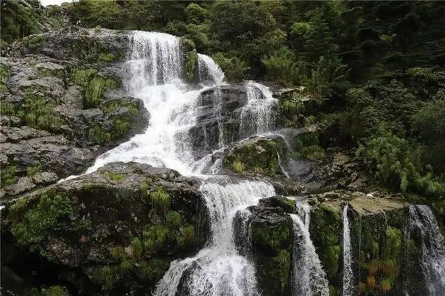 河蟹怎么做好吃